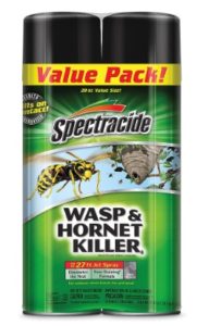 Spectracide Wasp & Hornet Killer, 2 PK